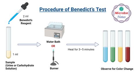 benedict's test positive color|Benedict's Test: Principle, Requirements, Procedure .